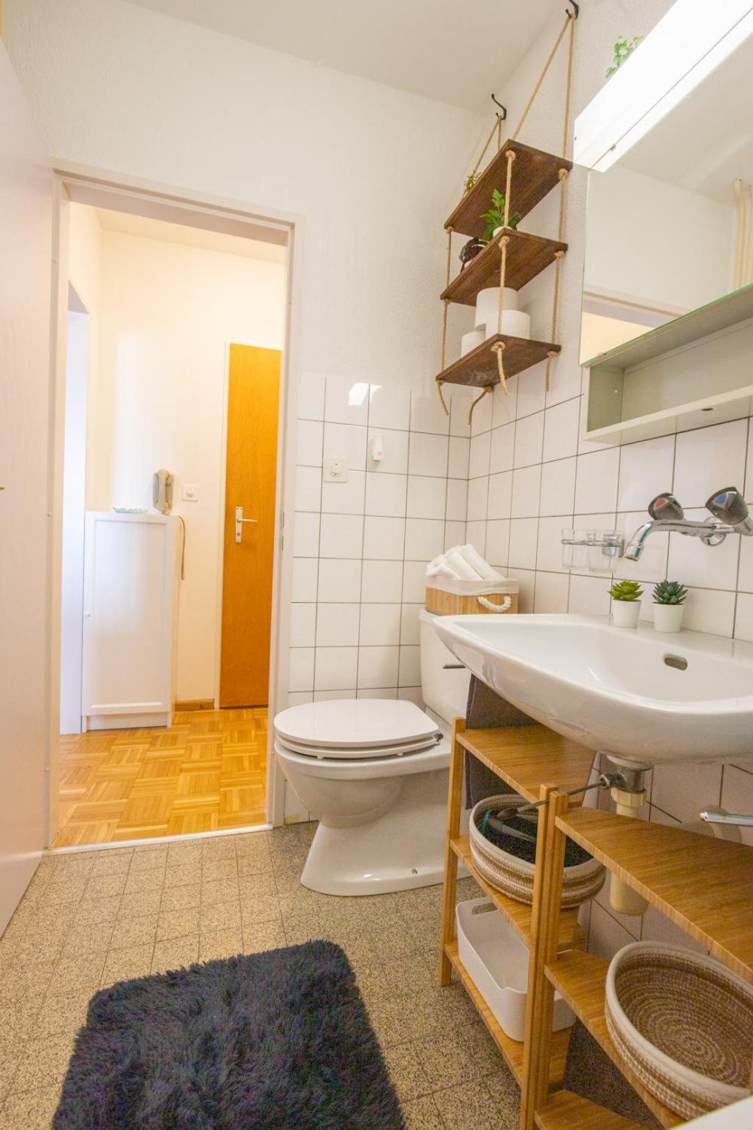 Special Blue Tiger Apartment Basel, Messe Kleinbasel 10-Star Ngoại thất bức ảnh